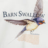 NEW ERA OUTDOOR WATERCOLOR SERIES - BARN SWALLOW WHITE SHORT SLEEVE T-SHIRT