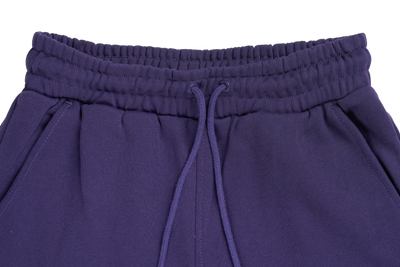 LOS ANGELES DODGERS COLOR ERA PURPLE KNIT PANTS