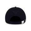 CHICAGO BULLS TINT BRUSH BLACK 9FORTY CAP