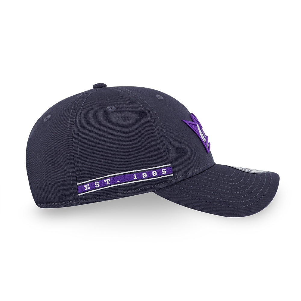 SACRAMENTO KINGS NBA BALLER ERA GRAPHITE 9FORTY CAP