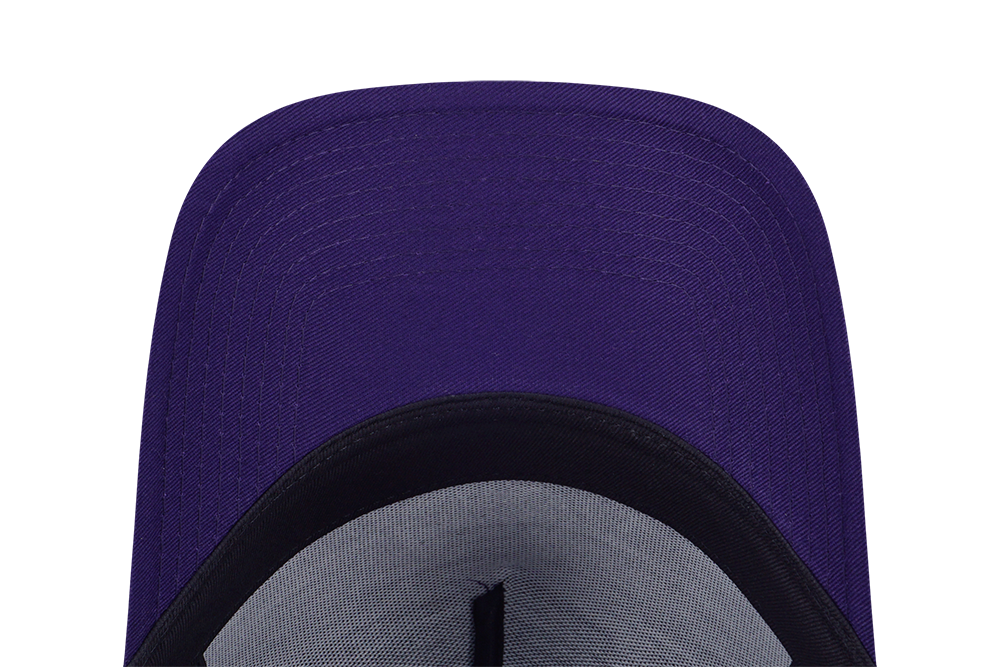 LOS ANGELES LAKERS BASKETBALL TONAL PACK PURPLE 9FORTY AF CAP