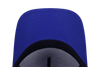 NEW ERA X BEAVIS AND BUTT-HEAD CLASSROOM BLUE 9FORTY AF CAP