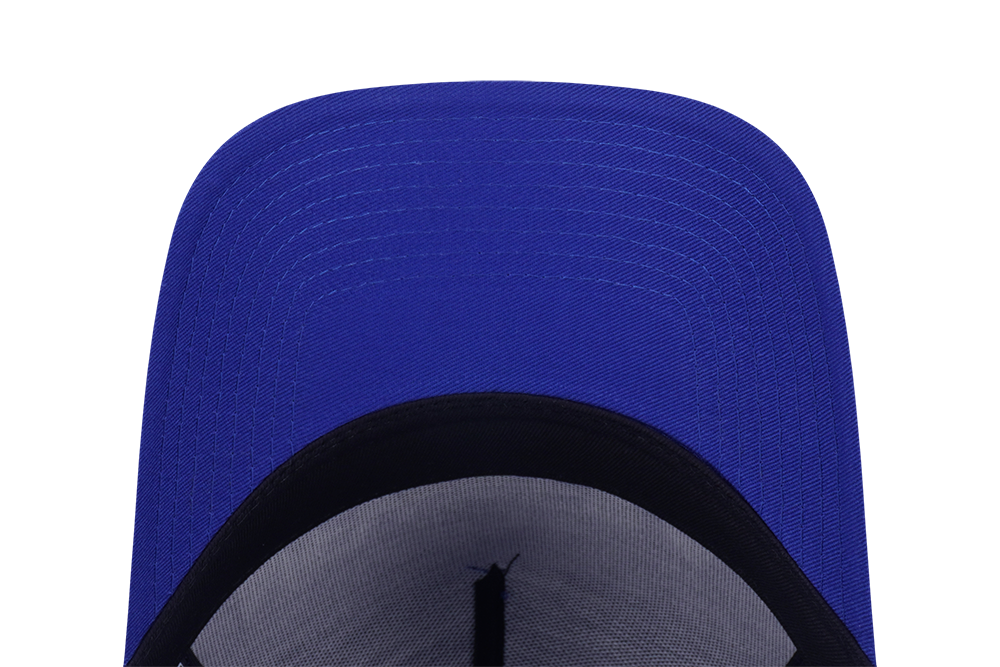 NEW ERA X BEAVIS AND BUTT-HEAD CLASSROOM BLUE 9FORTY AF CAP