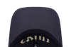 NEW ERA X BEAVIS AND BUTT-HEAD SKULL DARK GRAY 9TWENTY CAP