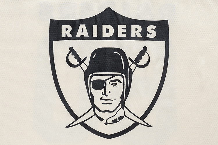 OAKLAND RAIDERS NFL HISTORIC CHROME WHITE OVERSIZED SHORT SLEEVE T-SHIRT