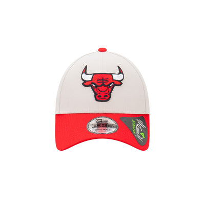 CHICAGO BULLS 2-TONE STONE REPREVE SCARLET VISOR STONE 9FORTY CAP